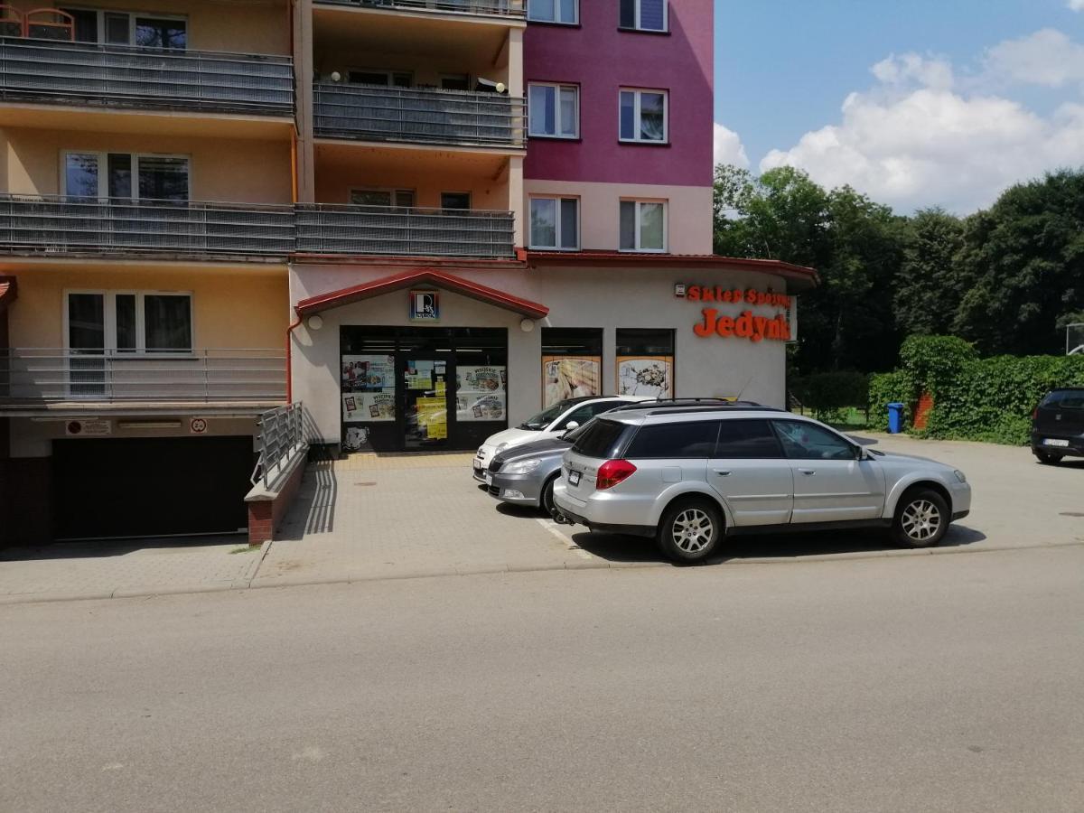 Apartament Witkiewicza Sanok Exterior foto